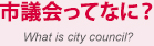 市議会ってなに？